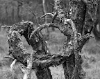 _MG_8869.jpg
