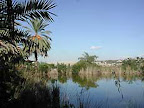 p1238559457(1).jpg