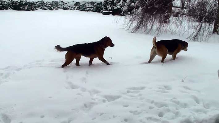 [Schnee7%255B2%255D.jpg]