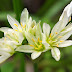 20100306_1