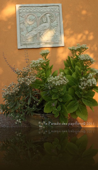 settembre11 032 settembre11 032