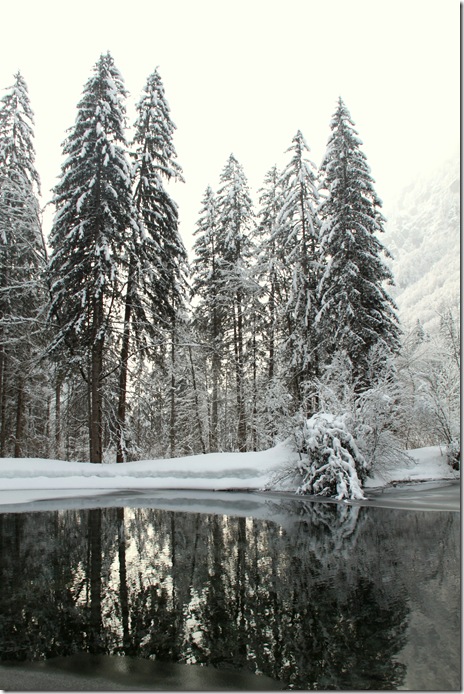 Trop magnifique!