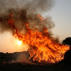 2011-Osterfeuer016.jpg