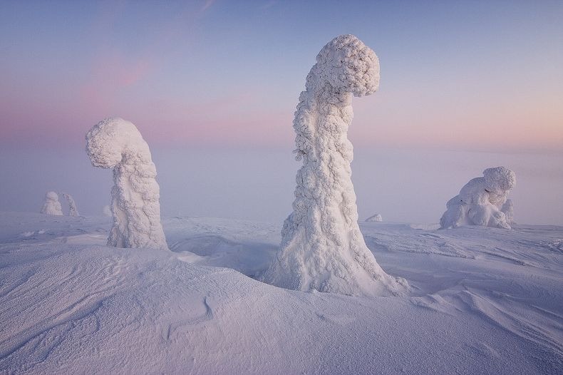 Sentinels-of-the-Arctic-2 Sentinels-of-the-Arctic-2