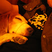 chinese new year 012.JPG