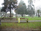 DSCN9346.JPG