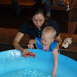 P1010295.JPG