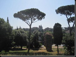 Rome 2011 102