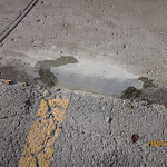 Costco 4 nov -10 058.jpg