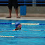 DSC_0356.JPG