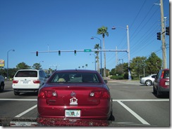 IMG_1519 IMG_1519