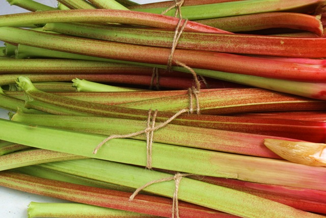 [rhubarbtousey4.jpg]