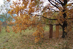 DSC02395.JPG