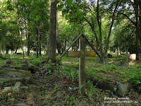 Cmentarz przy ul. Samotnej w Poznaniu