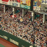 Video - Yomiuri Giants fans cheer after a run, in Tokyo Dome Video - Yomiuri Giants fans cheer after a run, in Tokyo Dome