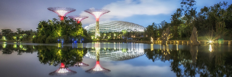 [Grant%2520Associates%2520celebrates%2520Gardens%2520by%2520the%2520Bay%2520Success%255B3%255D.jpg]