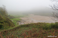 IMG_9267.JPG Photo