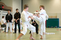 copyright by http://shotokanryu.de mit freundlicher Genehmigung von Hans Wiedl