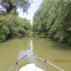 IMG_5766.JPG
