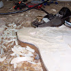 100_2258.JPG