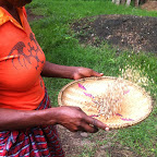 Der Wind bläst die Spreu fort. © Foto: Doreen Schütze | Outback Africa