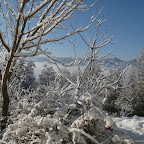 2011-12-20.jpg