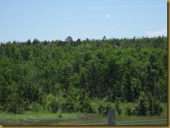 2011-7-4 from sid turcotte to sudbury ontario (8) (800x600) 2011-7-4 from sid turcotte to sudbury ontario (8) (800x600)