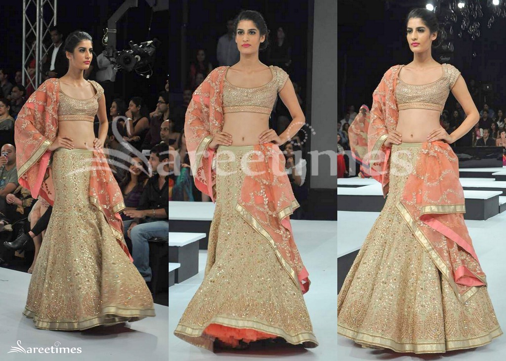 [Shantanu_Nikhil_Lehenga_Collection%255B4%255D.jpg]