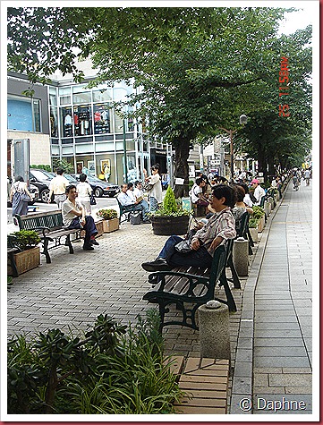 DSC05247 DSC05247