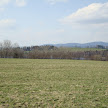 DSC00323.JPG