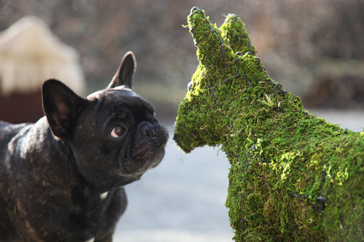 Oh I see, the donkey shape is actually a wire frame, which appears to be filled with sphagnum moss.  Sphagnum is often referred to as peat moss, as it's often found growing on top of peat bogs.
