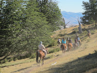 On the trail