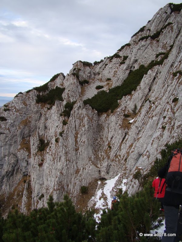 cioranga ramura de sus-40.JPG