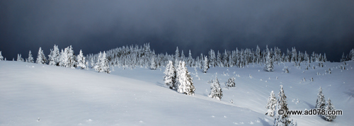 DSC_2135.jpg