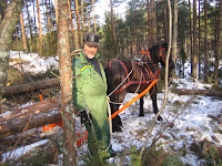 IMG_5149.JPG