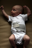 IMG_1586.JPG