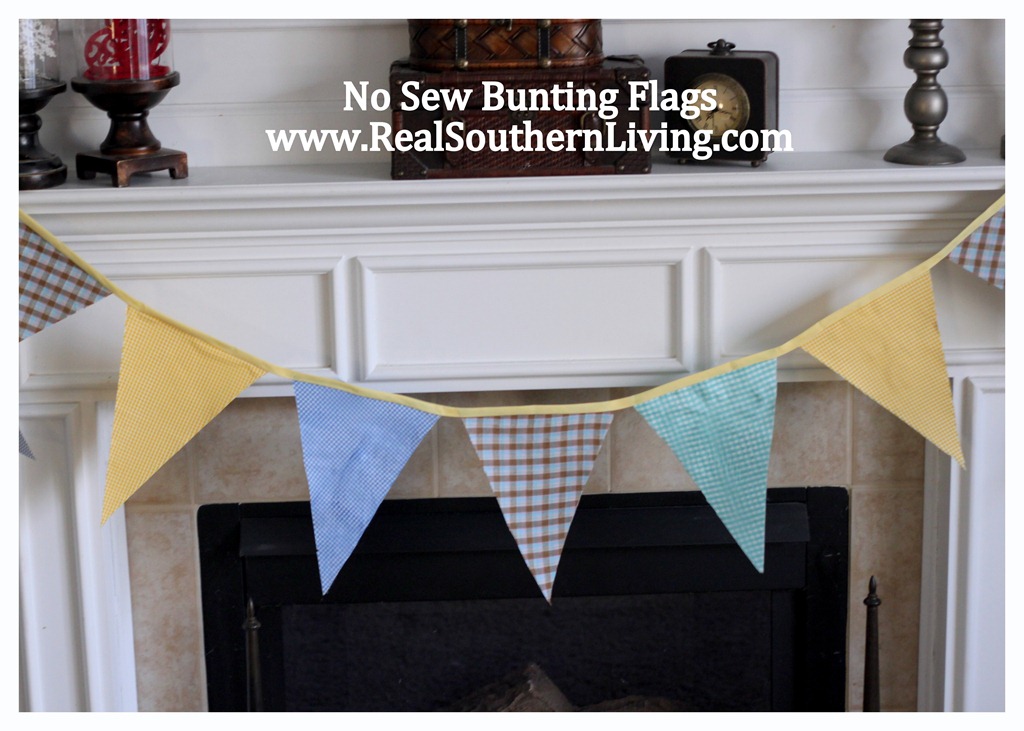 [Bunting%2520Flags%2520001%255B4%255D.jpg]