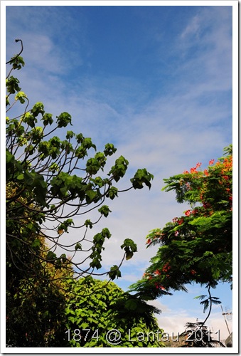 DSC_0594 DSC_0594