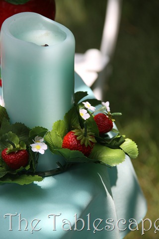 [strawberries-0187.jpg]