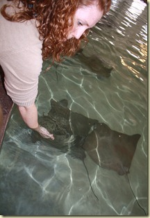 IMG_8137 IMG_8137