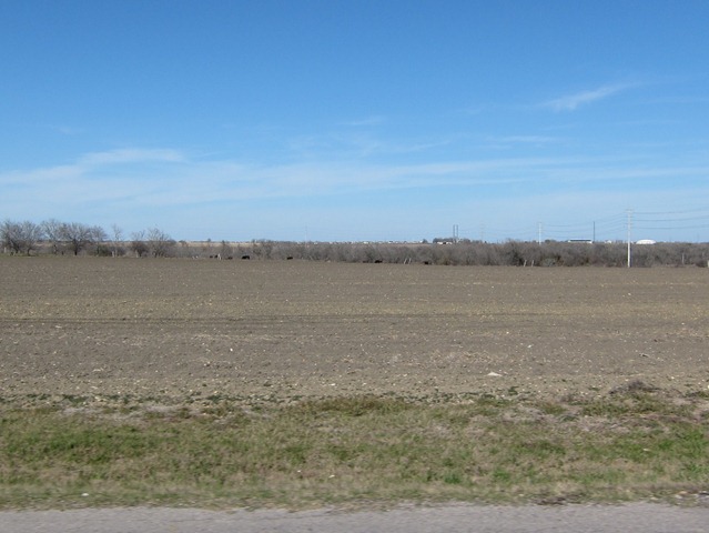[IMG_75332.jpg]