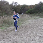 Kruininger Gors cross