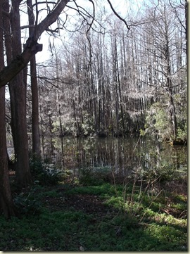 DSCF1359