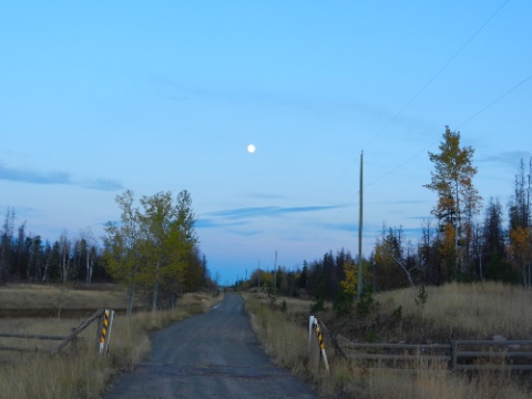 DSCN0447.jpg DSCN0447