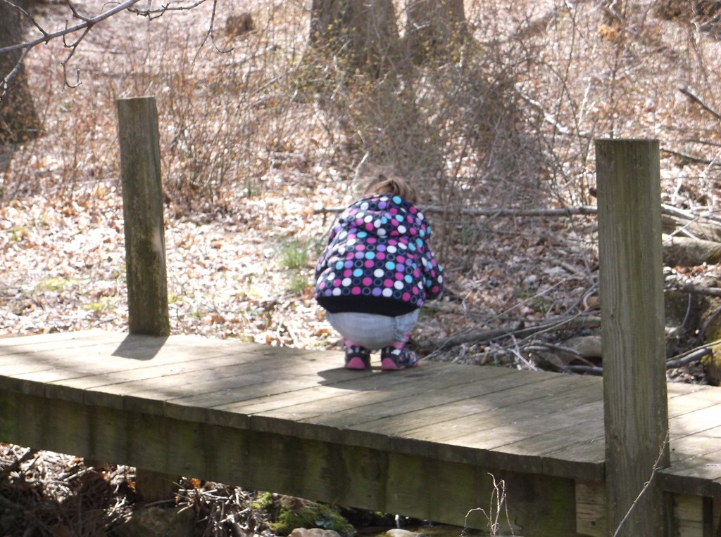 [DSCF3063%255B4%255D.jpg]