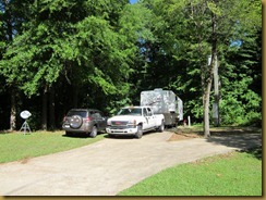 IMG_5785 (800x600) IMG_5785 (800x600)
