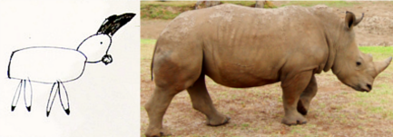 [rhinos3.png]