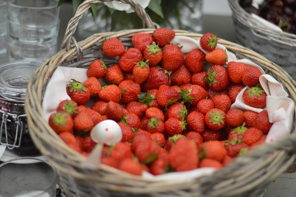 [DSC_0364%255B4%255D.jpg]