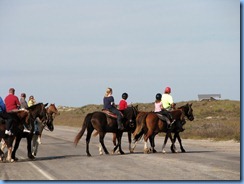 6026 Texas, South Padre Island - horseback riders crossing Padre Blvd