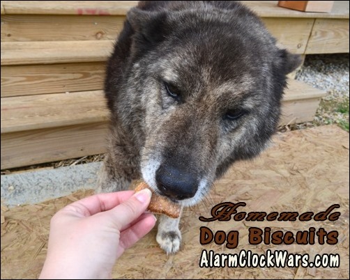 homemade dog biscuits